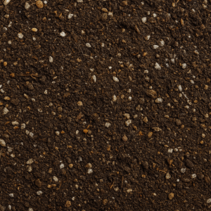 Vegetable Mix